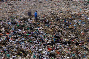 El reciclaje y sus números ¿Por dónde comenzamos   ?