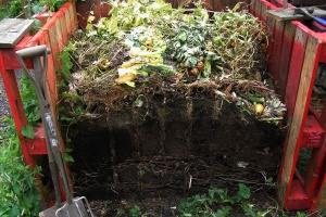 COMPOST  : la nueva forma de reciclar los residuos urbanos.