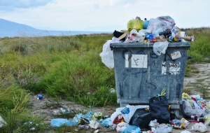 Leyes para la educación ambiental a largo plazo