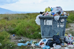 Leyes para la educación ambiental a largo plazo