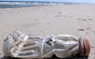 Limpieza de playas argentinas.